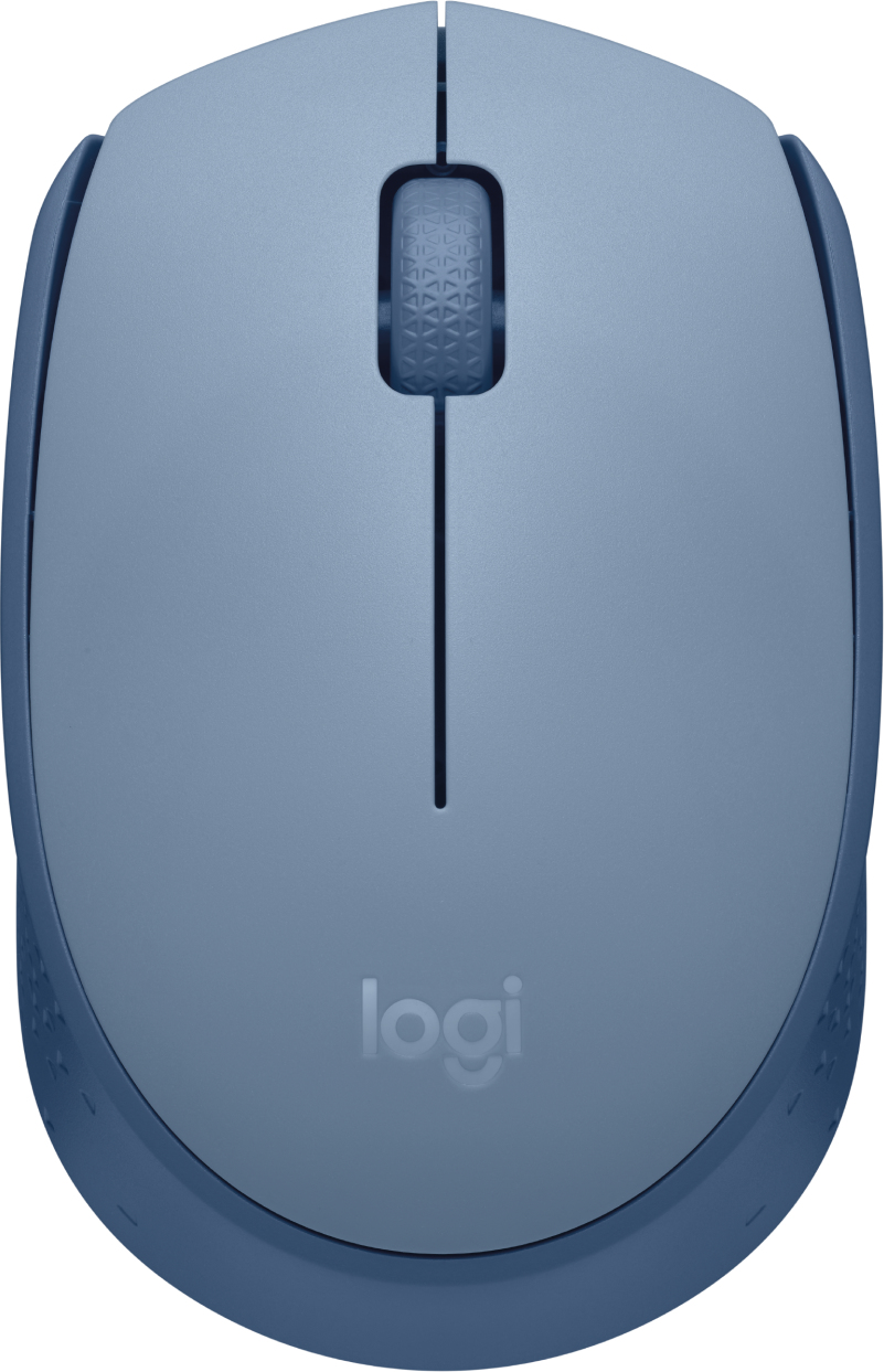 Mouse LOGITECH M170